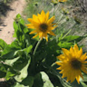 Meet your Posher, Colleen